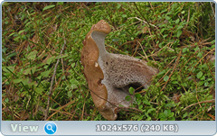 0_11cc30_8a0d8914_orig.png