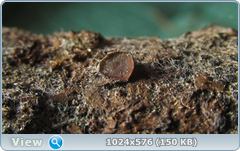 0_11d430_ca4fb907_orig.png