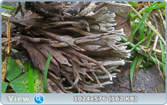 0_12c1f1_530d2bc1_orig.png