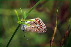0_fdd34_9d5d2172_orig.jpg