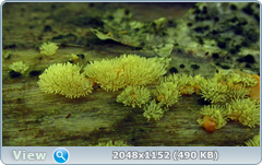 0_12a131_1fb8089a_orig.png