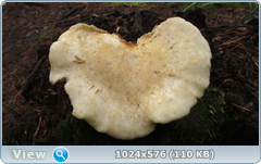0_12ab9b_3f46ac2c_orig.png