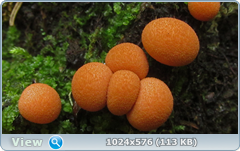 0_12abb9_252096a7_orig.png