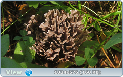 0_12c1e9_82d9352e_orig.png