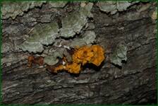0_fd32c_4ad255e2_orig.jpg