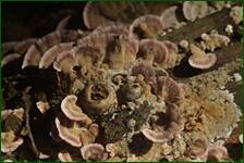 0_fdf3d_106f3b85_orig.jpg