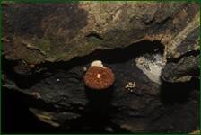 0_fe0c4_80754a6d_orig.jpg