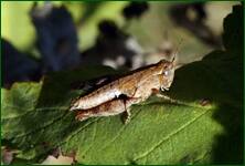0_ff66a_c7440433_orig.jpg