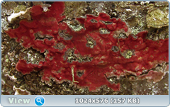 0_1242be_512e1f5c_orig.png
