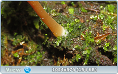 0_12769e_3e0dd881_orig.png
