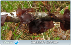 0_1276b8_c58f8f91_orig.png