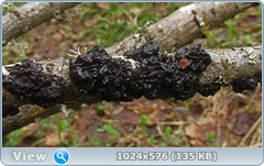 0_1276c0_417cc0a1_orig.png