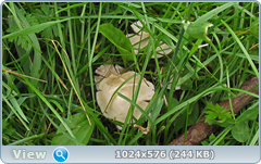 0_e780c_255d8904_orig.png