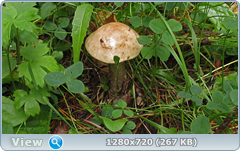 0_eacba_89150d38_orig.png