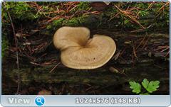 0_1276e4_c8439047_orig.png