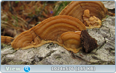 0_127715_ba05a601_orig.png