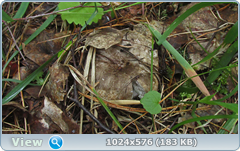 0_12ab77_a694f431_orig.png