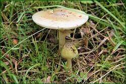 0_147bd7_8d3e5681_orig.jpg