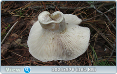 0_12abef_75f4399b_orig.png