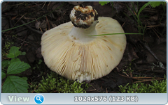 0_12b9a0_9b083f6e_orig.png