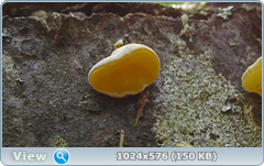 0_12c1a2_d4a13e95_orig.png