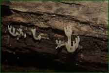 0_fe108_58a26b55_orig.jpg