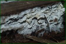 0_fe122_de10e30d_orig.jpg