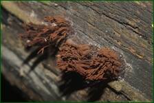 0_fe134_c7732010_orig.jpg