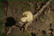 0_fe22c_a14c8185_orig.jpg