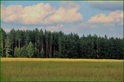 0_1493c0_fdf287c4_orig.jpg