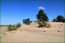 0_14b4e6_7fc30538_orig.jpg