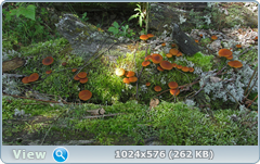 0_12bef9_a1f821c9_orig.png
