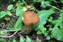 0_147479_e93980fc_orig.jpg