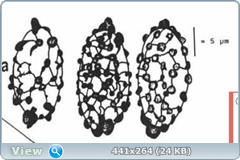0_128edb_44f75bc1_orig.png