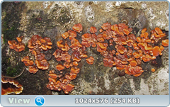 0_12afec_a0543c4f_orig.png