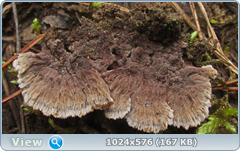 0_12b012_3e2b3272_orig.png