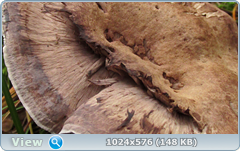 0_12cbc0_d2af601b_orig.png