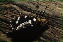 0_fc840_dea3cec1_orig.jpg