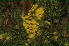 0_fe1ac_9b760111_orig.jpg