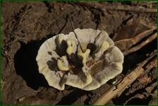 0_fe22e_887b450c_orig.jpg