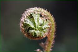 0_140976_94c7684a_orig.jpg