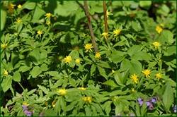 0_140980_23c2f705_orig.jpg
