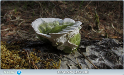 0_1260f0_896b4722_orig.png