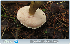 0_12ab27_631f8dc6_orig.png