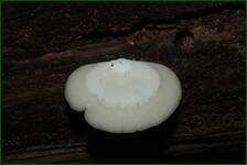 0_fe0d8_4f78bb57_orig.jpg