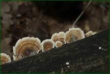 0_fe152_6c0dba4f_orig.jpg