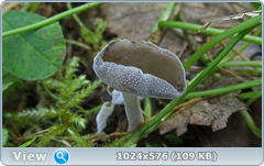 0_12c1a9_50e9096e_orig.png