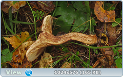 0_12d9d5_52e1679a_orig.png