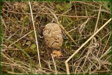 0_f5b26_744c06ee_orig.jpg