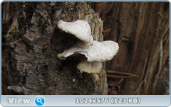 0_123d83_c0678982_orig.png